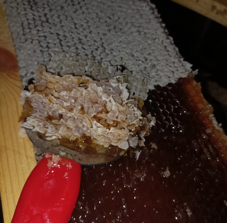 На производстве нет выходных, служебное жилье – каморка, работают за еду, а штат все равно растет