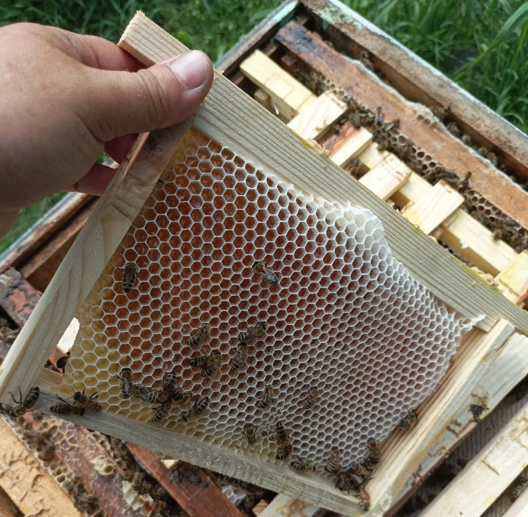 На производстве нет выходных, служебное жилье – каморка, работают за еду, а штат все равно растет На производстве нет выходных, служебное жилье – каморка, работают за еду, а штат все равно растет