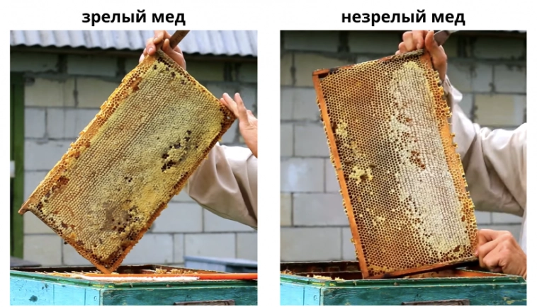 На производстве нет выходных, служебное жилье – каморка, работают за еду, а штат все равно растет На производстве нет выходных, служебное жилье – каморка, работают за еду, а штат все равно растет