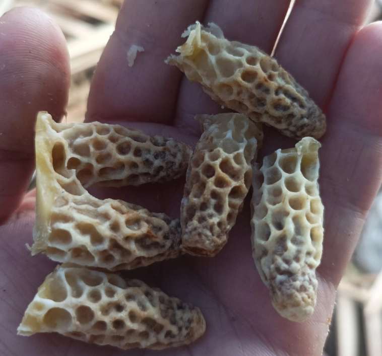 На производстве нет выходных, служебное жилье – каморка, работают за еду, а штат все равно растет На производстве нет выходных, служебное жилье – каморка, работают за еду, а штат все равно растет