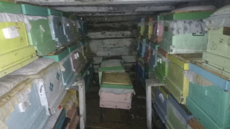 На производстве нет выходных, служебное жилье – каморка, работают за еду, а штат все равно растет