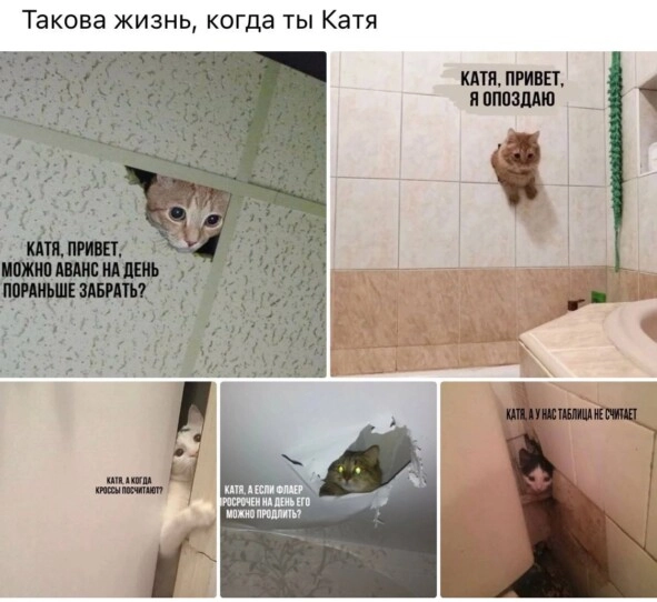 Реальные квесты — 8 лет в подвальном бизнесе Реальные квесты — 8 лет в подвальном бизнесе