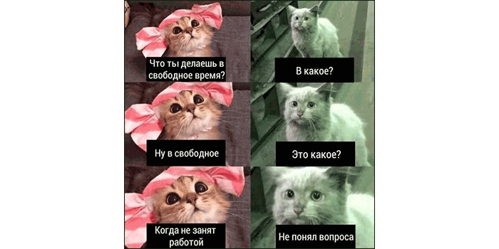 ✍¹⁰ Мемуары Майтрейда на R&D ✍¹⁰ Мемуары Майтрейда на R&D