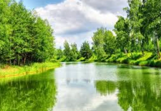 Пятница, полдень. Пятница, полдень.