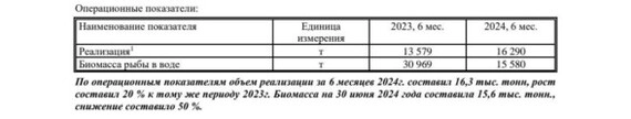 Инарктика отчет за 1 полугодие 2024 года по МСФО. Погибла половина биологических активов Инарктика отчет за 1 полугодие 2024 года по МСФО. Погибла половина биологических активов