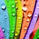 Дмитрий Кобзарь