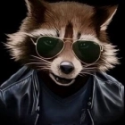 Ракета Енотовна