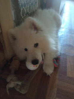 Трейдинг и половая жизнь Трейдинг и половая жизнь