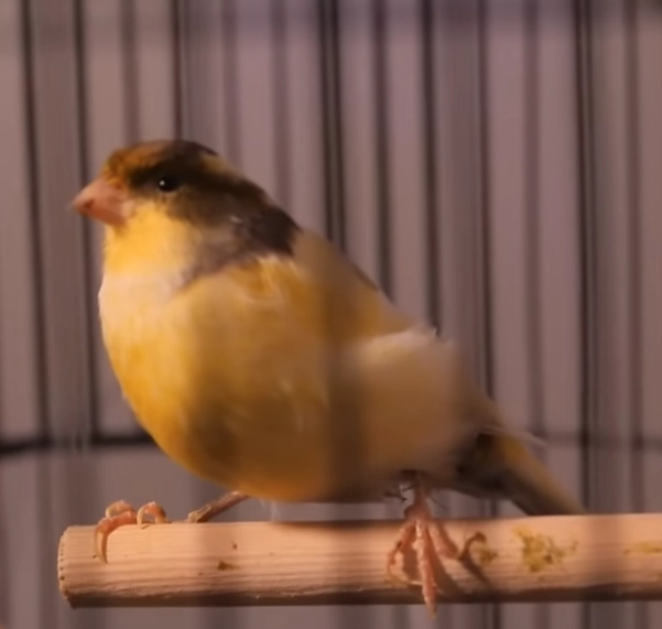 Всех ГУР и ГУР-У с профессиональным праздником