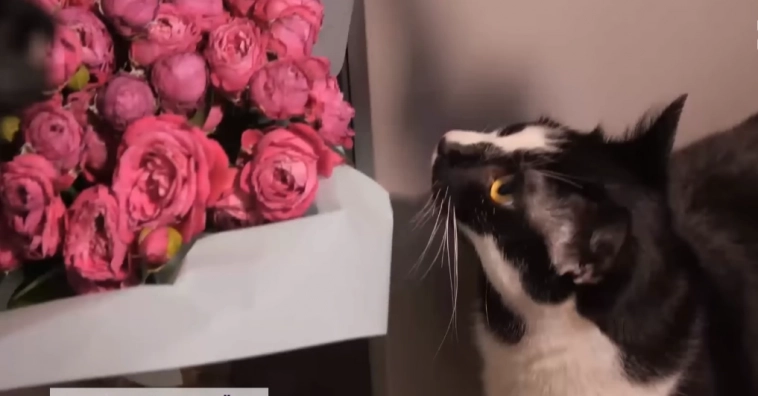 Всех ГУР и ГУР-У с профессиональным праздником