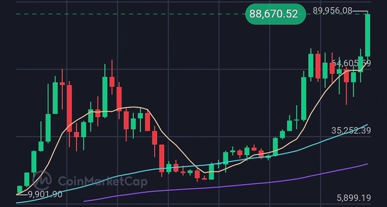 🚀 Bitcoin на историческом пике: $89,839 и растет!