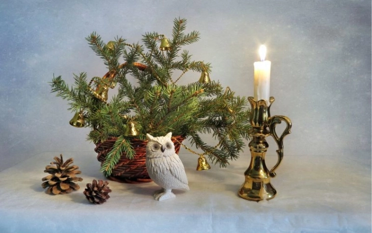 С Наступающим 2025 годом!