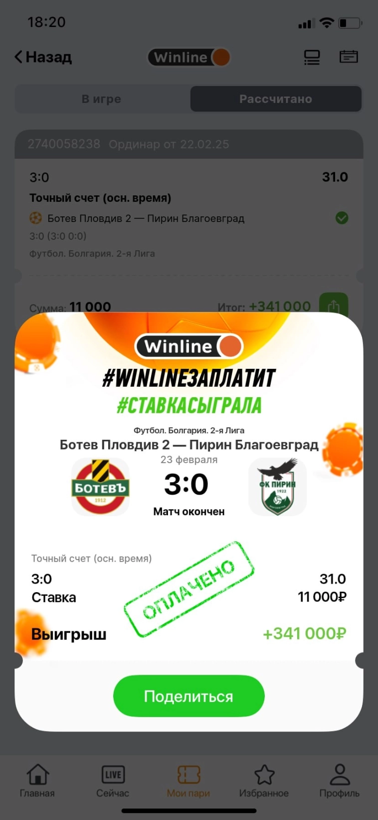 Ставки, собаки и прогнивший футбол. Исповедь лудомана-альтруиста.