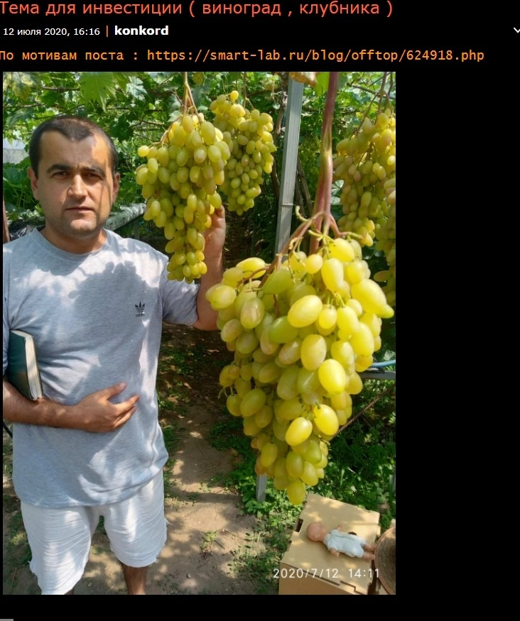 10 лимонов инвестиций в сельское хозяйство 10 лимонов инвестиций в сельское хозяйство