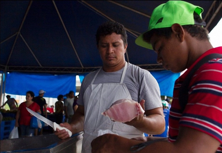 Арапайма - рыба динозавр