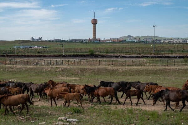 Как китайский приграничный город поддерживает российскую экономику на плаву. Экономики двух стран становятся всё более взаимосвязанными