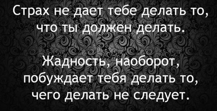 Просветленный инвестор