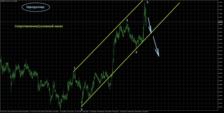 Вводная к открытию недели Вводная к открытию недели
