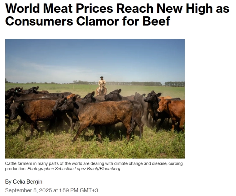 В августе мировые цены на мясо достигли нового рекорда из-за высокого спроса на говядину в США и Китае в условиях сокращения поставок — Bloomberg