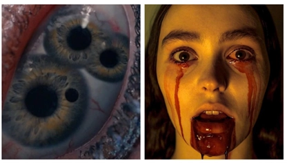 Мрачные сюжеты и зловещие трофеи завоёвывают награды.