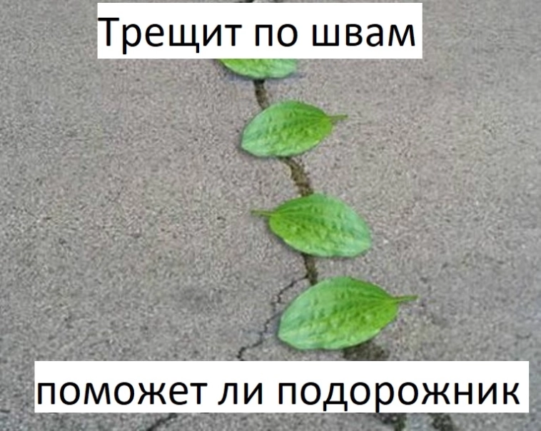 Банкротство российских компаний приближается: ЦМАКП бьёт тревогу из-за роста вероятности повышения ключевой ставки ЦБ