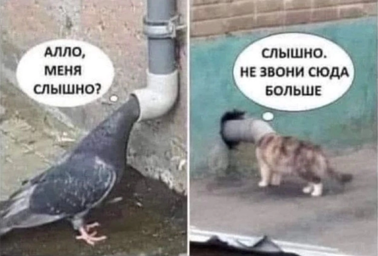 ВТБ обещает стать быстрее, выше, сильнее