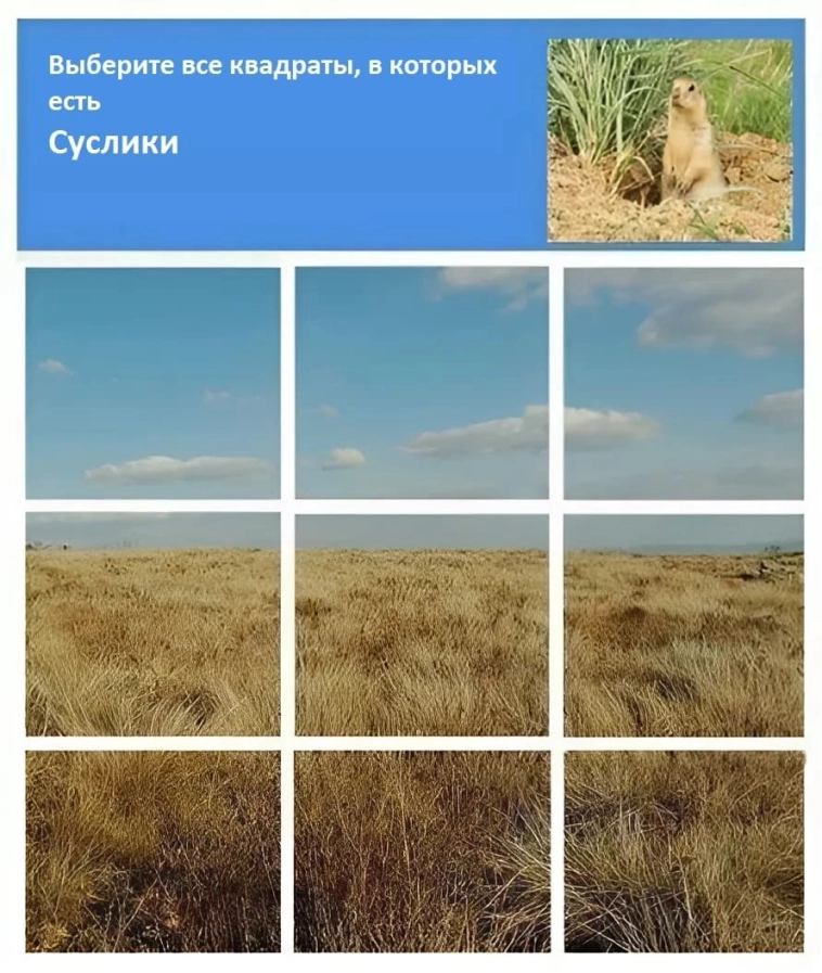 Минэк указал на проблему ИИ, когда «10 минут доказываешь, что ты человек»