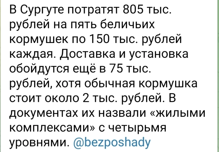 Азия. Среда.