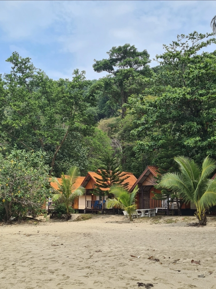 Азия. Пятница.