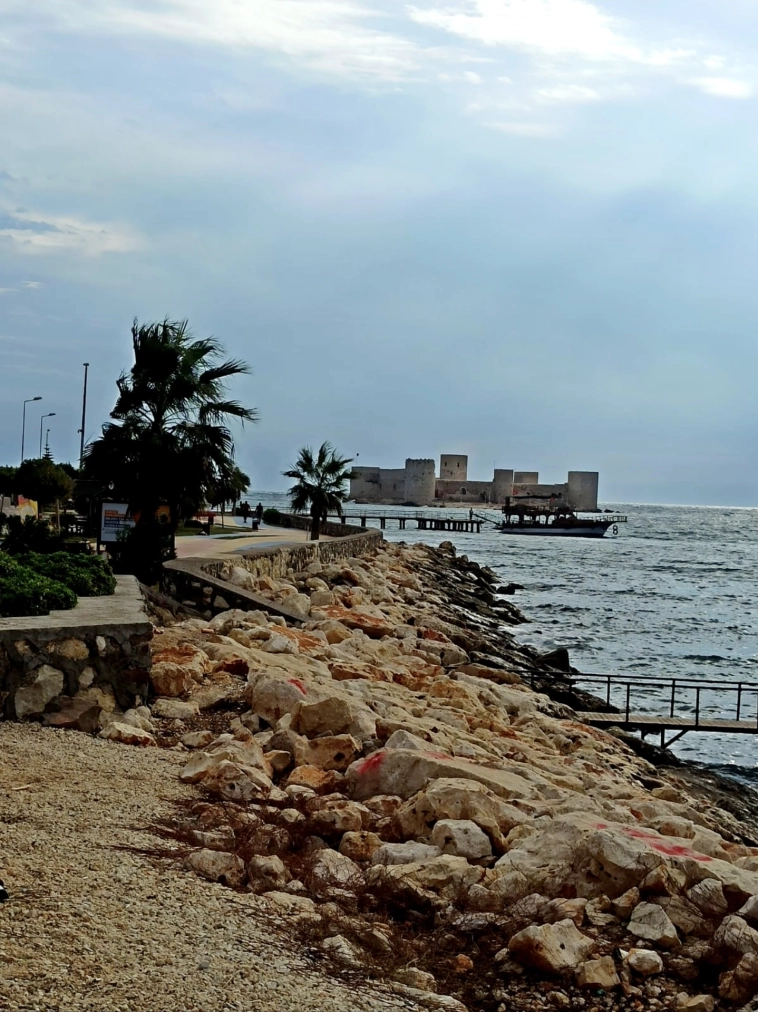 Азия. Среда.