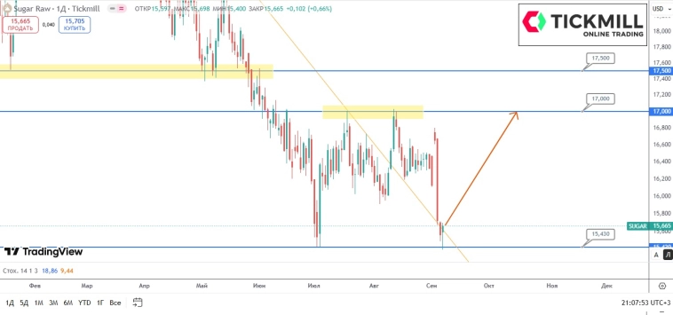 Сахарные быки очнулись от летней спячки