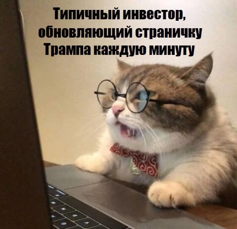 Встреча Путина и Трампа приведет к нормализации отношений🔥Итоги дня