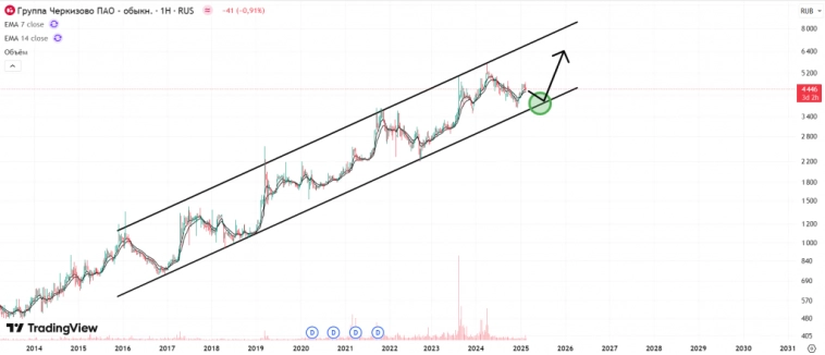 Черкизово MOEX:GCHE отчет МСФО 2 полугодие 2024