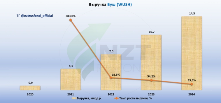 ВУШ (Whoosh) MOEX:WUSH итоги года 2024
