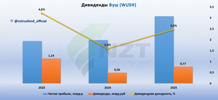 ВУШ (Whoosh) MOEX:WUSH итоги года 2024 ВУШ (Whoosh) MOEX:WUSH итоги года 2024