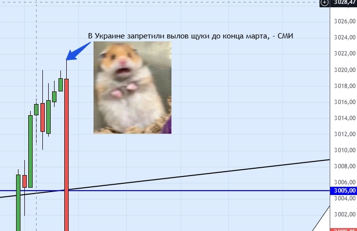 Черный лебедь ПРИПЛЫЛ! Черный лебедь ПРИПЛЫЛ!