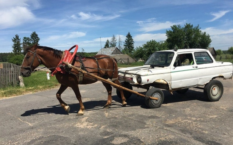 Растет спрос на гужевой транспорт