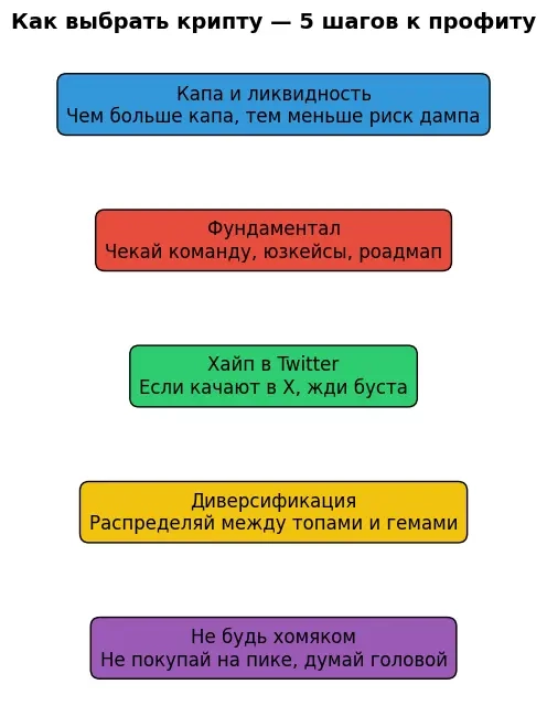 Инфографика: Как выбрать крипту &mdash; 5 шагов к профиту