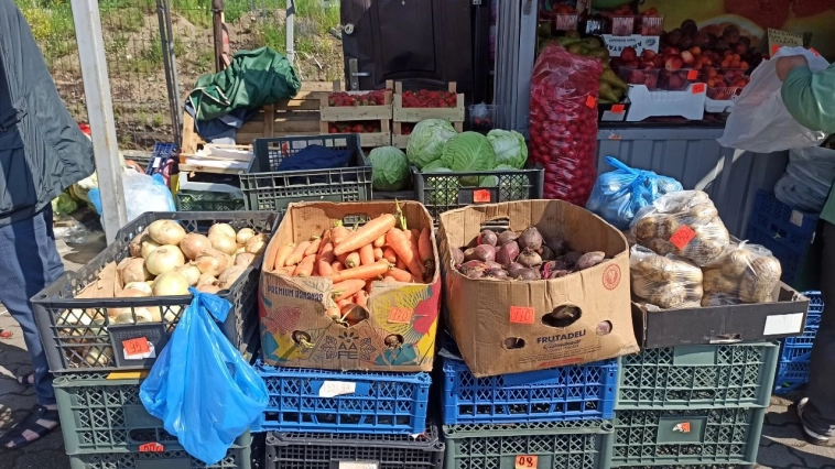 Один день на FIRE