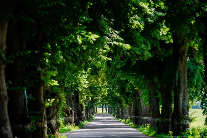 Мысли по рынку (доллар, золото, недвижимость, акции, облигации, лабубу)
