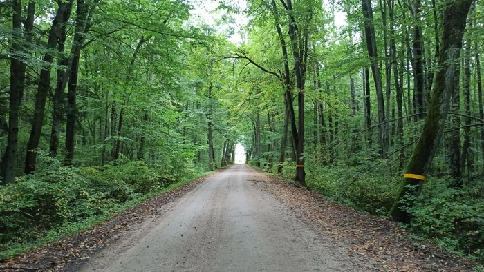 Грибные инвестиции 🍁🍄