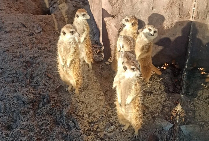 Калининградский зоопарк