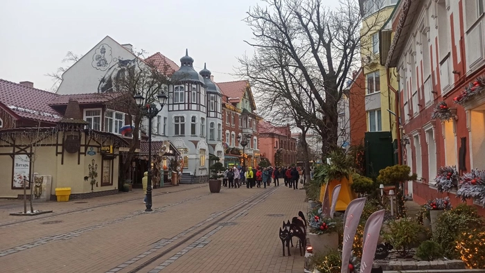 Зеленоградск готовится к новогодним праздникам Зеленоградск готовится к новогодним праздникам
