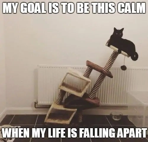 Более 14 лет ставлю цели на год: рассказываю, как и почему этот процесс работает у меня Более 14 лет ставлю цели на год: рассказываю, как и почему этот процесс работает у меня