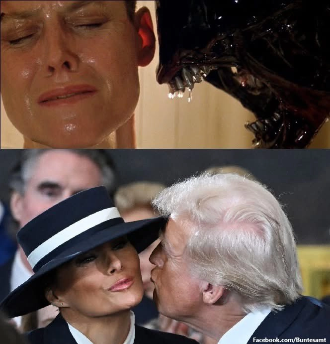 Главные мемы с инаугурации Трампа, а также AI-Stargate на 500 миллиардов баксов Главные мемы с инаугурации Трампа, а также AI-Stargate на 500 миллиардов баксов