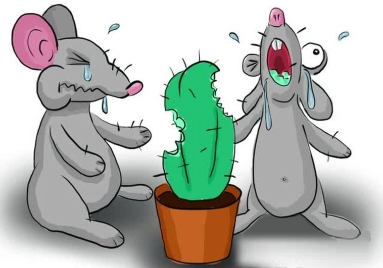 Если вы занимаетесь "классическим трейдингом", то вероятно вам загадили мозги. Или рассказываю то, что такое ригидность. Если вы занимаетесь "классическим трейдингом", то вероятно вам загадили мозги. Или рассказываю то, что такое ригидность.