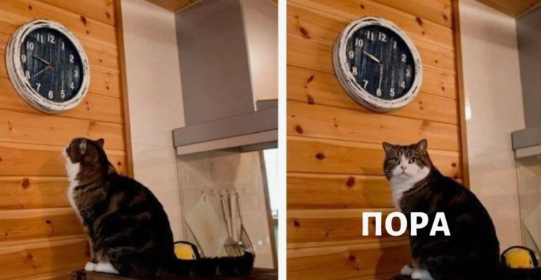 Изменение рейтингов в банках Изменение рейтингов в банках