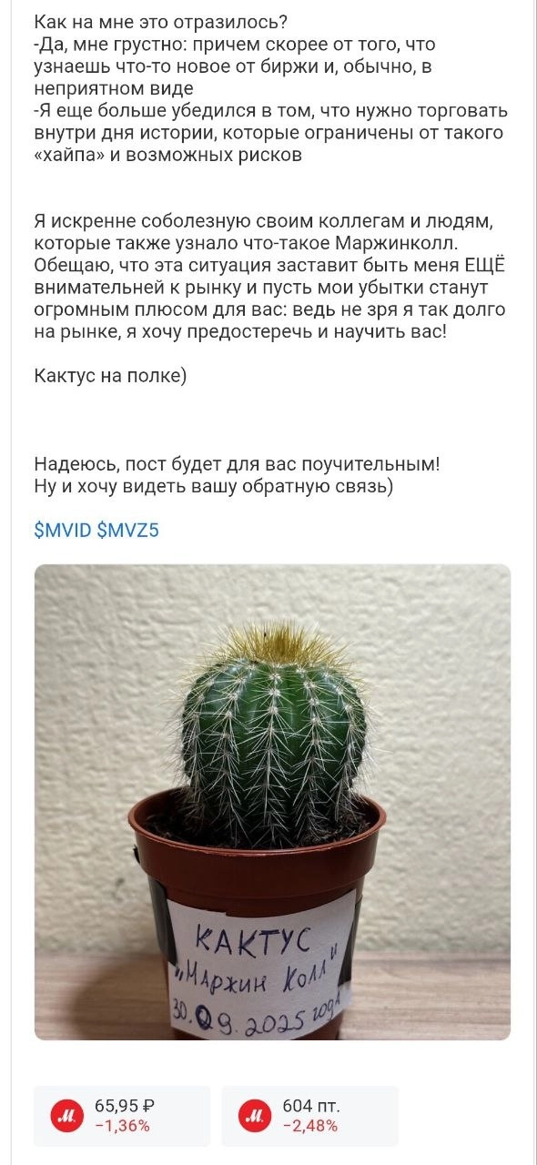 Как пульсят тонким слоем об шорты МВидео размазало: первые в жизни маржинколы.