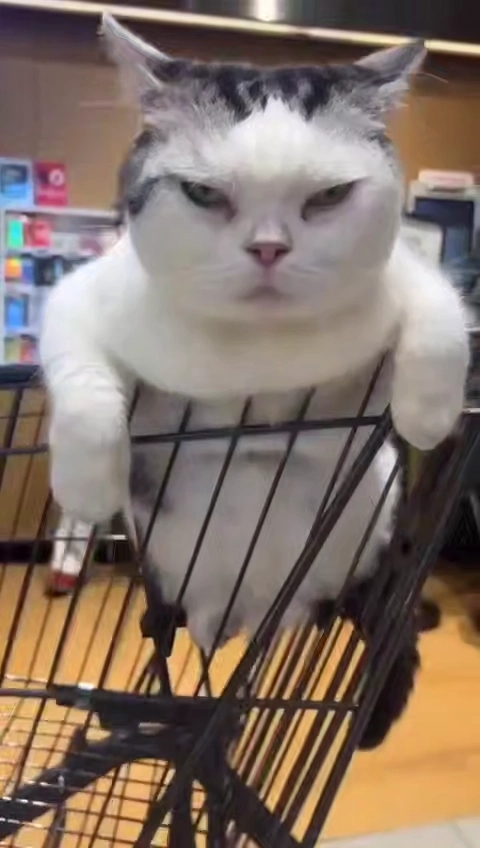 Китайский поцелуй