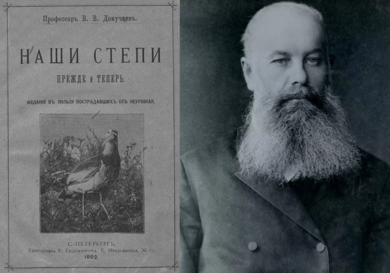 Почему власти не берегут сталинское наследие — лесополосы